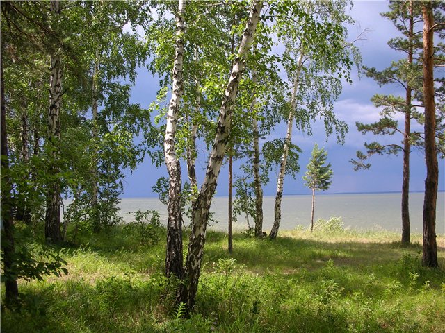 Фото Новосибирской Природы